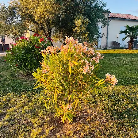 Vila Luxury Private *