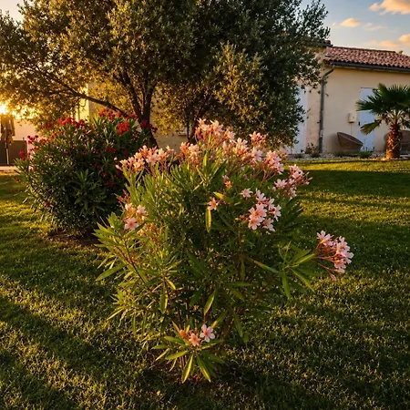 Luxury Private Vila Duras