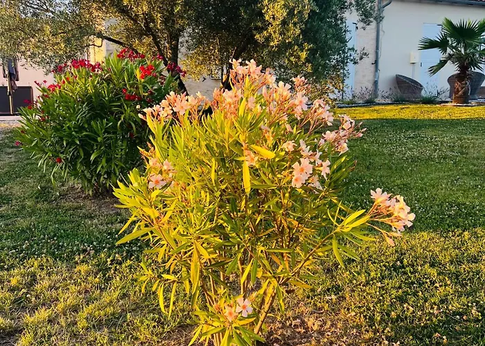 Villa Luxury Private *